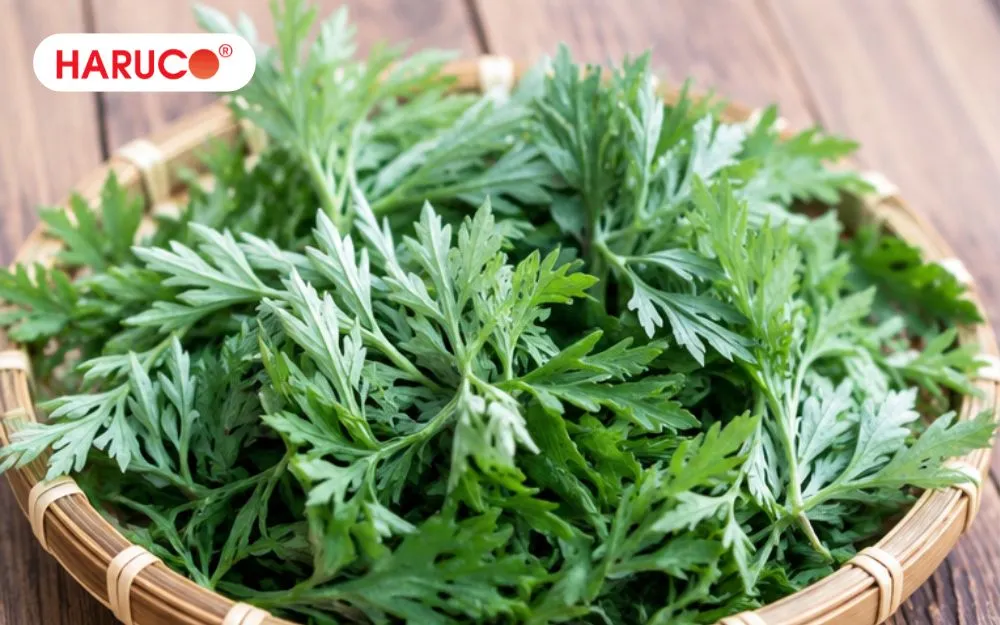 Ăn lá ngải cứu đúng cách giúp cải thiện hệ tiêu hóa