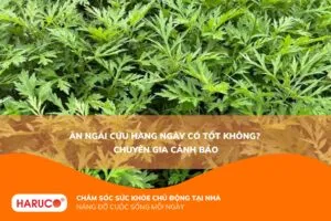 Ăn ngải cứu hàng ngày có tốt không? Lợi ích và rủi ro có thể gặp