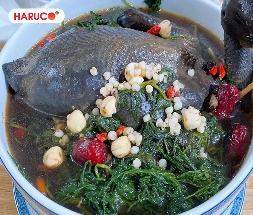 Gà ác hầm cùng ngải cứu là bài thuốc đại bổ