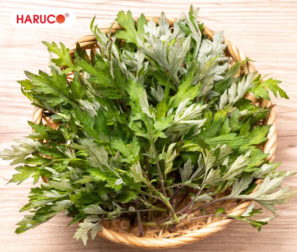 Ngải cứu chứa hàm lượng dinh dưỡng và hoạt chất sinh học rất phong phú