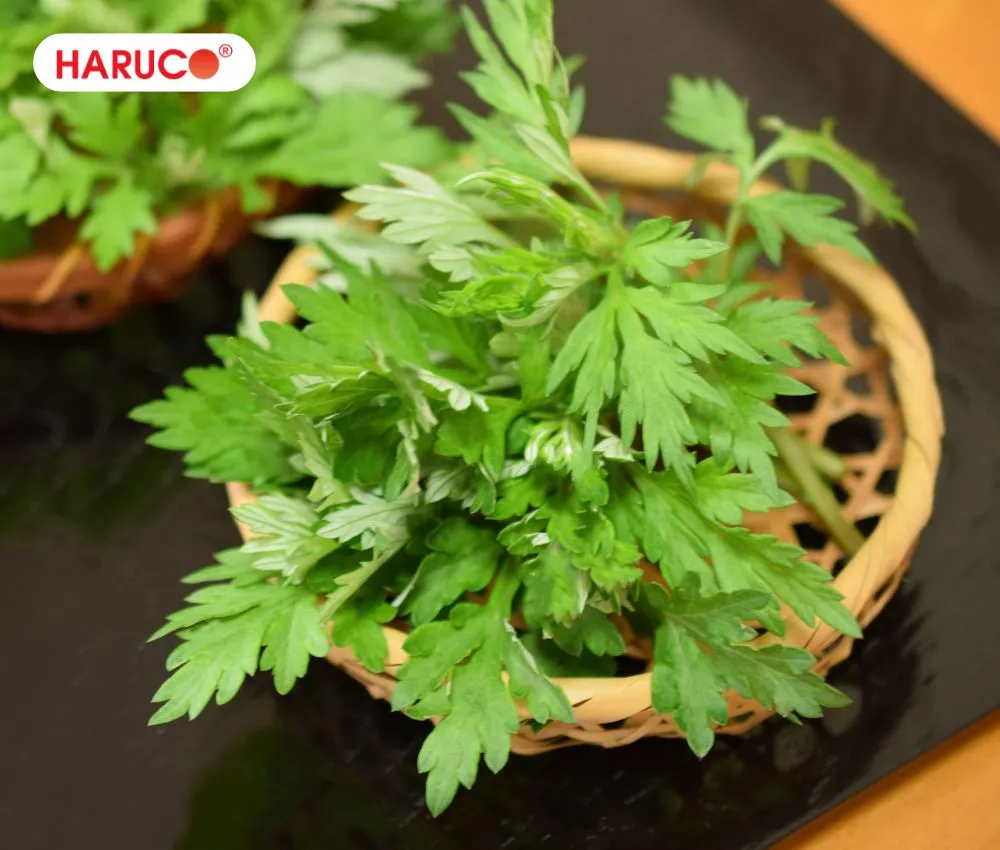 Ăn nhiều ngải cứu không tốt cho sức khỏe
