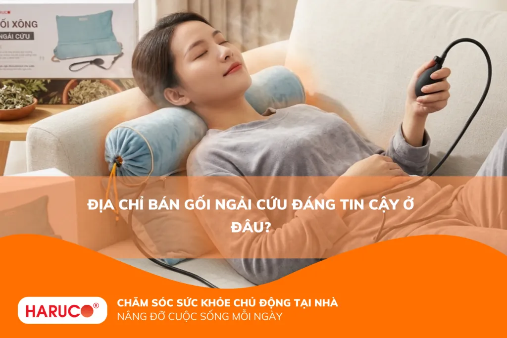 Địa chỉ bán gối ngải cứu đáng tin cậy ở đâu?