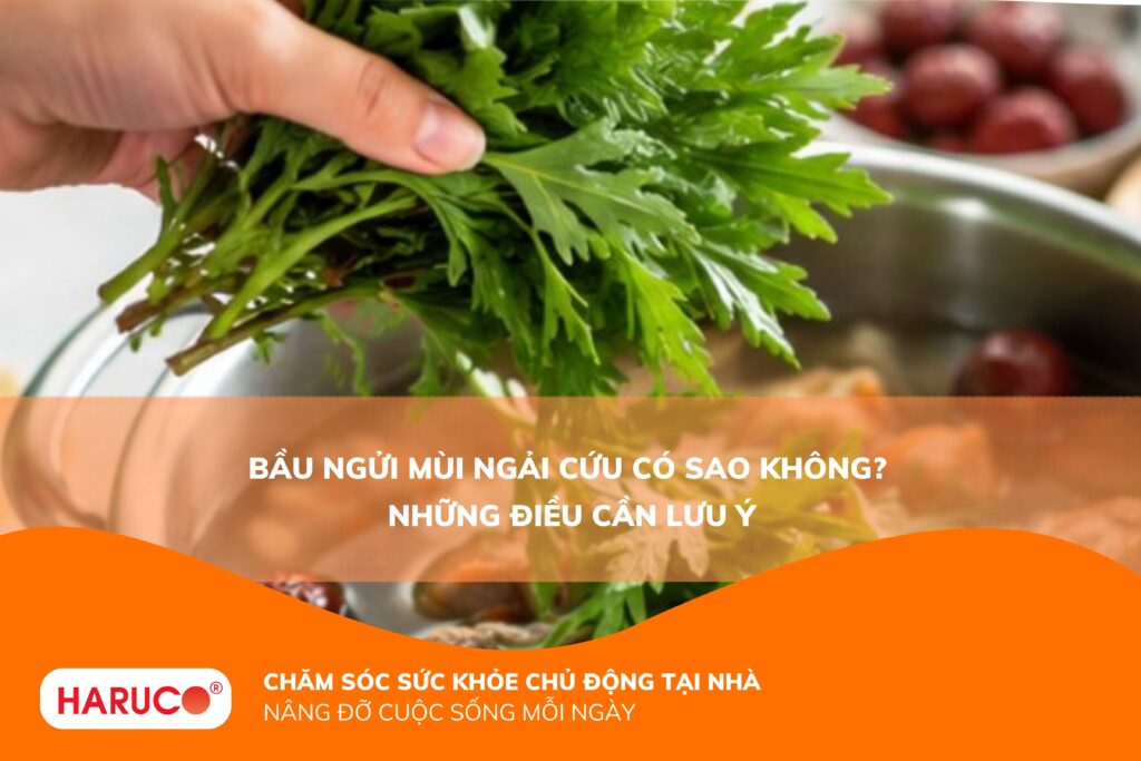 Bầu ngửi mùi ngải cứu có sao không? Những điều mẹ bầu cần biết