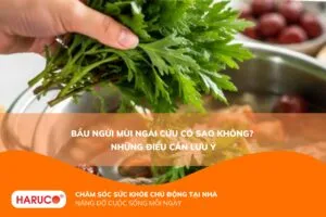 Bầu ngửi mùi ngải cứu có sao không? Những điều mẹ bầu cần biết