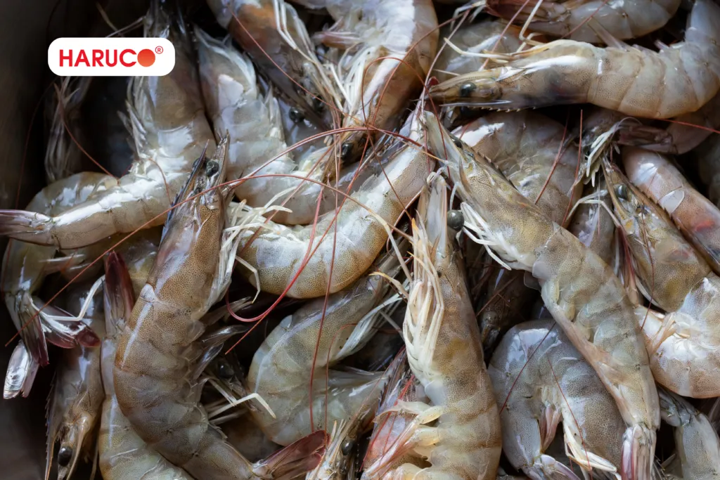 Những loại hải sản tốt cho người bị bong gân