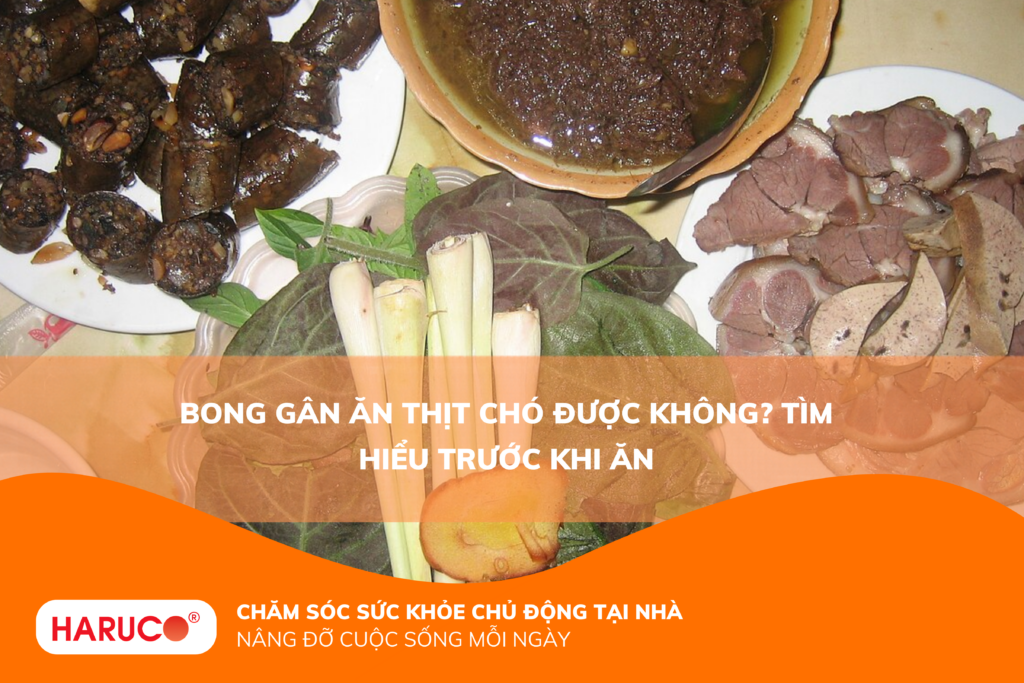 Bong gân ăn thịt chó được không? Tìm hiểu trước khi ăn