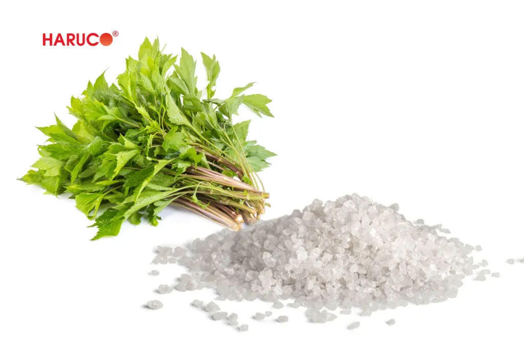 Cách chữa bong gân đắp ngải cứu đúng cách tại nhà