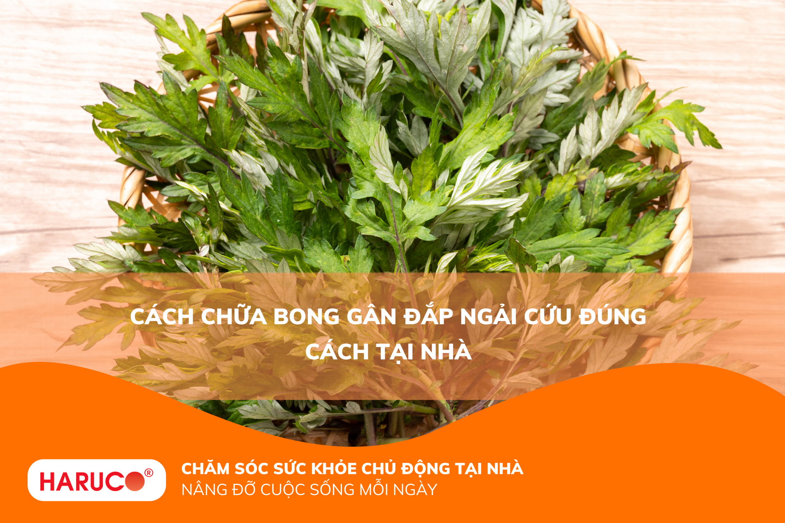 Cách chữa bong gân đắp ngải cứu đúng cách tại nhà