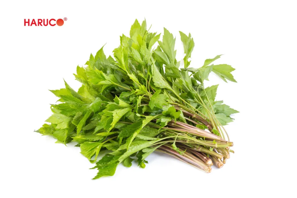 Bong gân đắp ngải cứu có tác dụng gì?