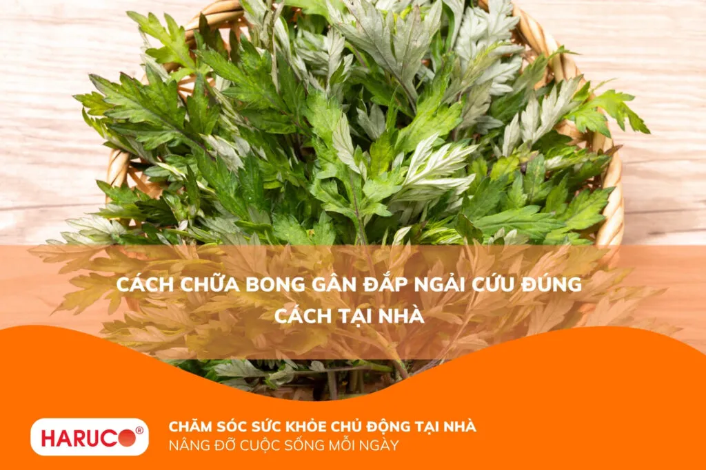 Cách chữa bong gân đắp ngải cứu đúng cách tại nhà