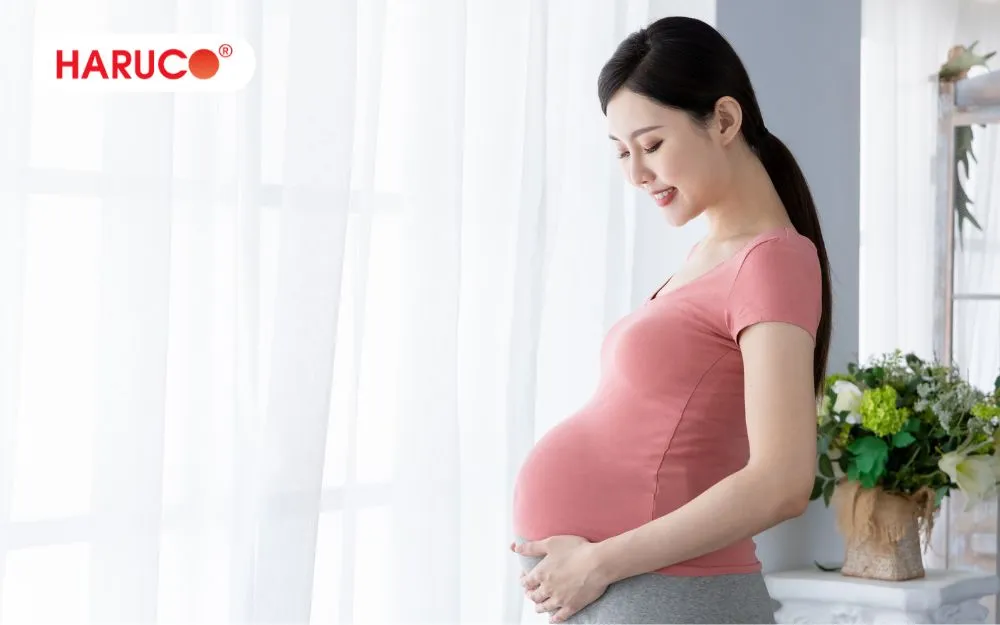 Phụ nữ có thai không nên ăn canh ngải cứu