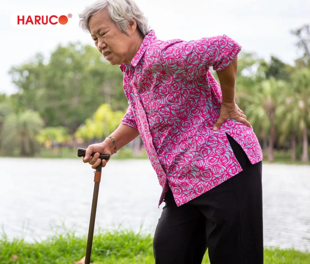 Người cao tuổi bị thoái hóa xương khớp nên ăn chân gà hầm đậu đen