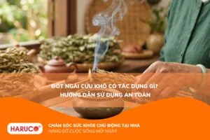 Đốt ngải cứu khô có tác dụng gì? Sự thật không phải ai cũng biết