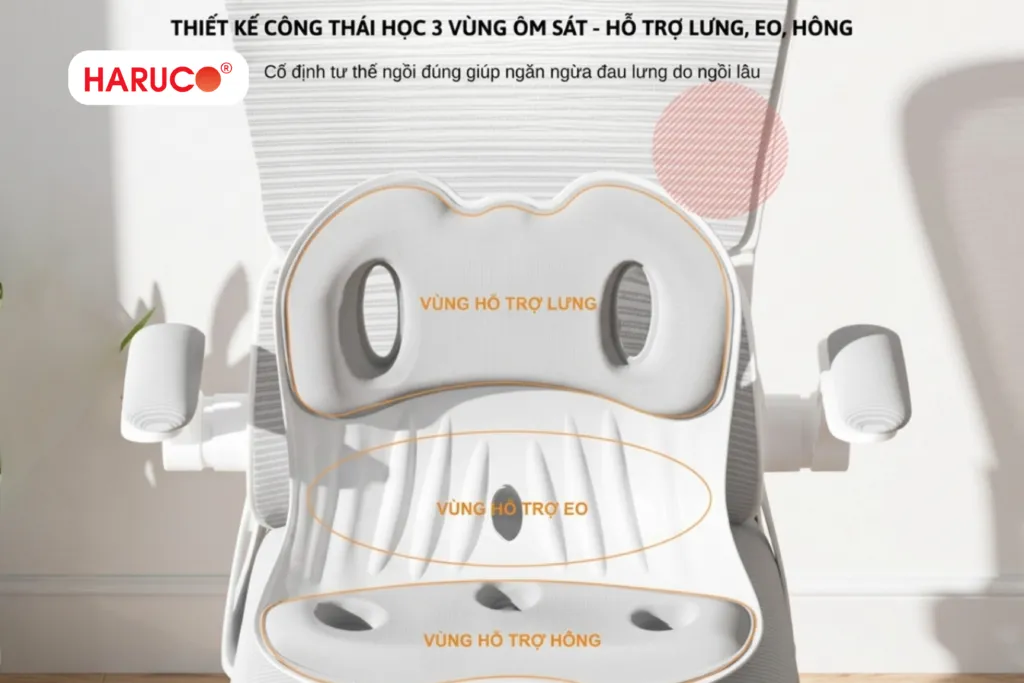 Đặc điểm nổi bật của ghế công thái học Haruco HRC-06-11