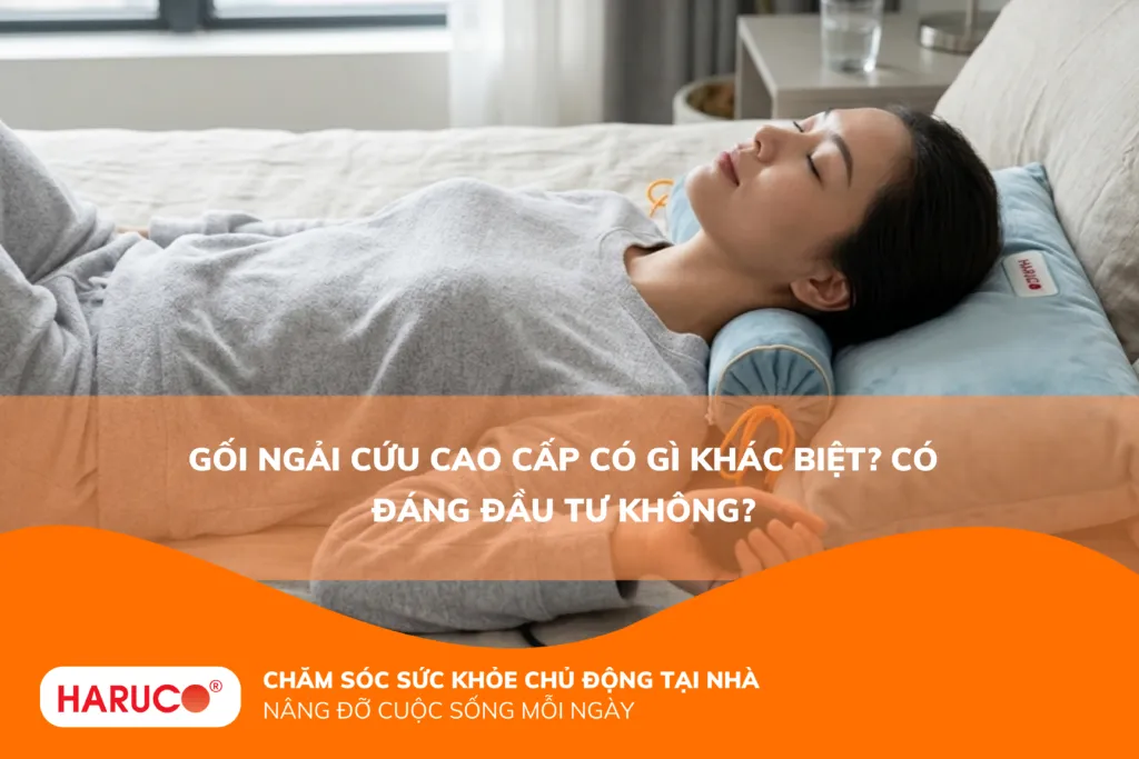 Gối ngải cứu cao cấp có gì khác biệt? Có đáng đầu tư không?