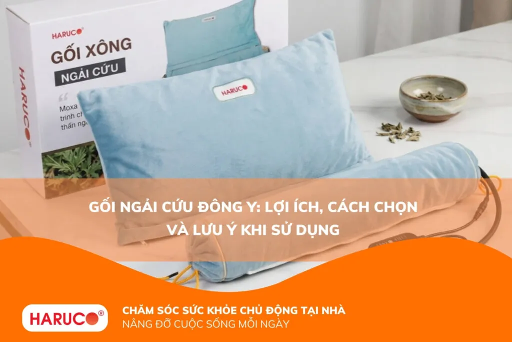 Gối ngải cứu Đông y: Lợi ích, cách chọn và lưu ý khi sử dụng