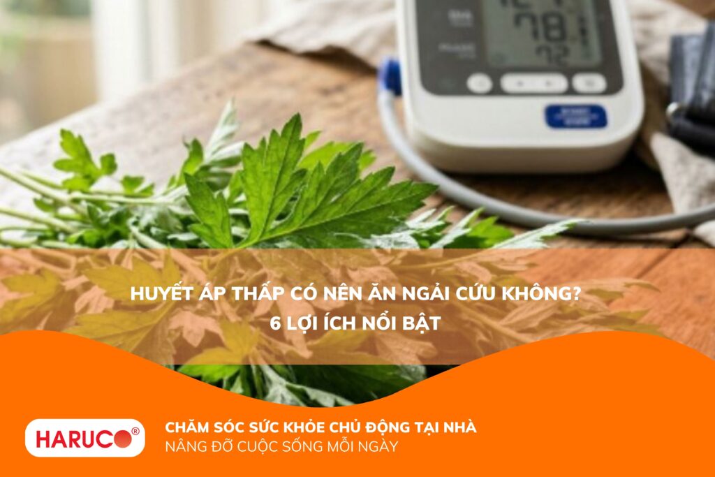Huyết áp thấp có nên ăn ngải cứu không? Lợi ích và những lưu ý cẩn trọng