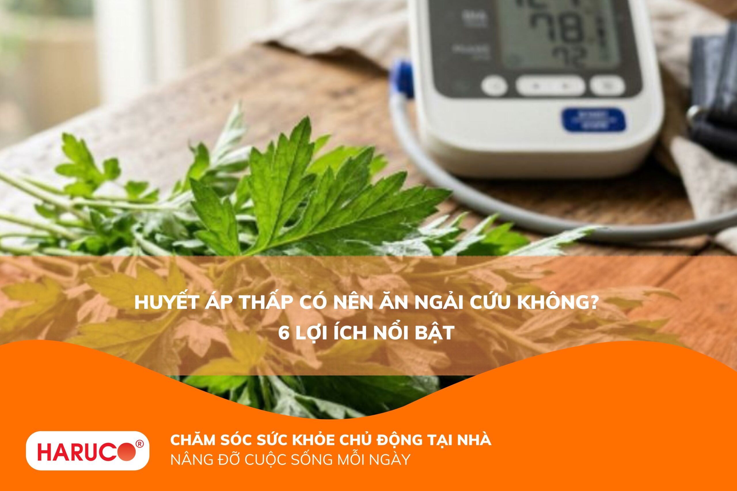 Huyết áp thấp có nên ăn ngải cứu không? Lợi ích và những lưu ý cẩn trọng