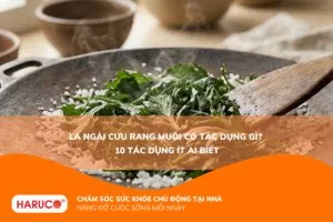 Lá ngải cứu rang muối có tác dụng gì? 10 lợi ích nhiều người chưa biết