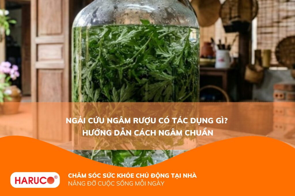 Ngải cứu ngâm rượu có tác dụng gì? Hướng dẫn sử dụng đúng cách để đạt hiệu quả