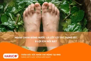 Ngâm chân bằng nước lá lốt có tác dụng gì? Công dụng, cách ngâm và lưu ý cần biết