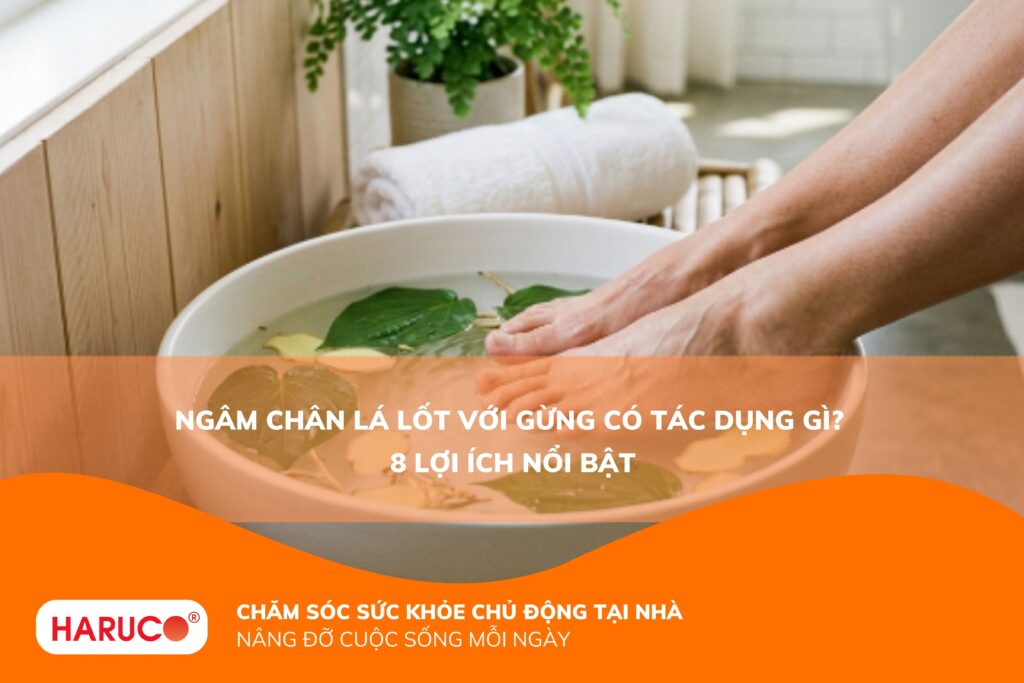 Ngâm chân lá lốt với gừng có tác dụng gì? Giải đáp từ A-Z và hướng dẫn thực hiện an toàn