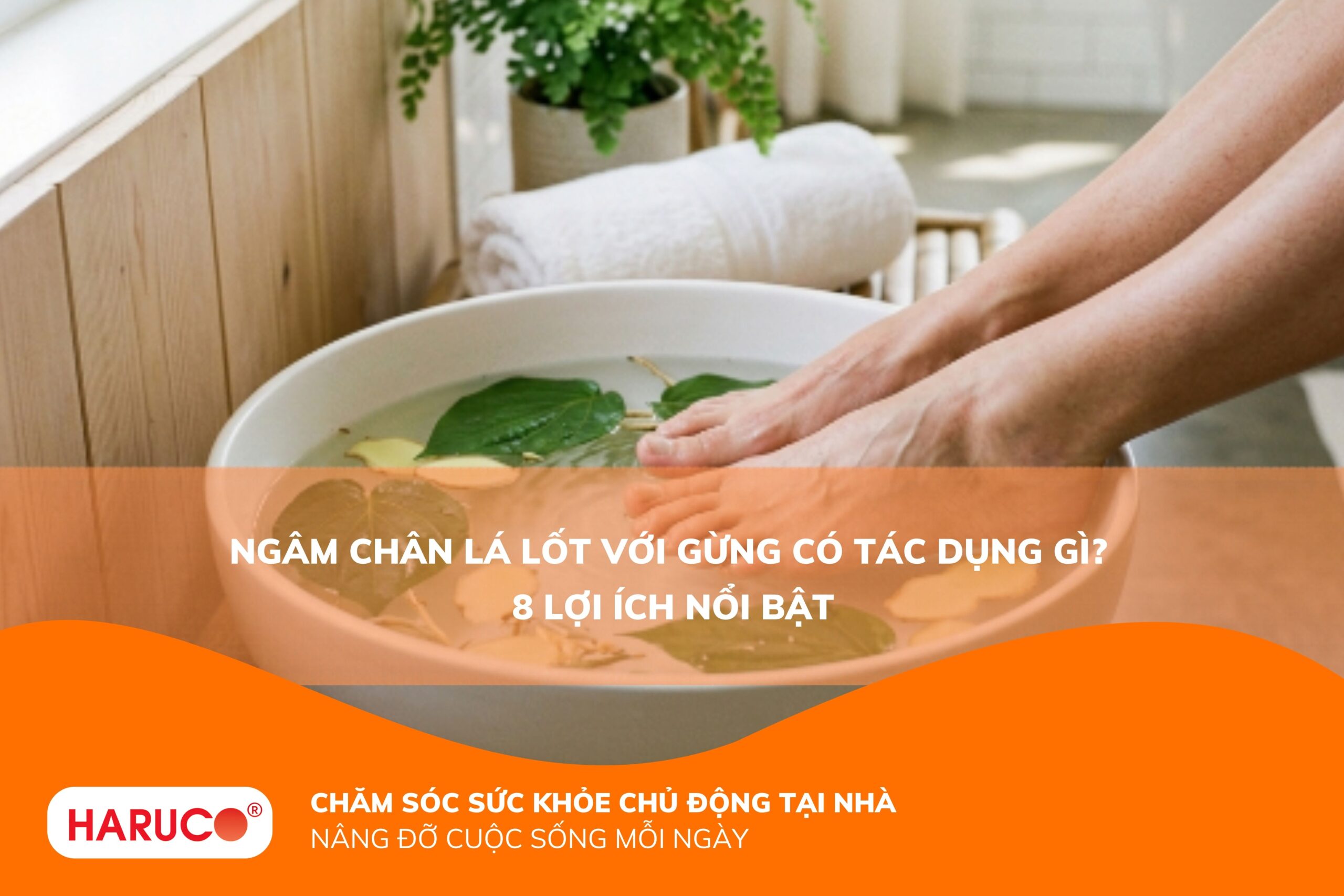 Ngâm chân lá lốt với gừng có tác dụng gì? Giải đáp từ A-Z và hướng dẫn thực hiện an toàn