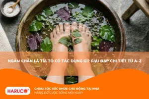 Ngâm chân lá tía tô có tác dụng gì? Bí quyết thư giãn, ngủ ngon ngay tại nhà