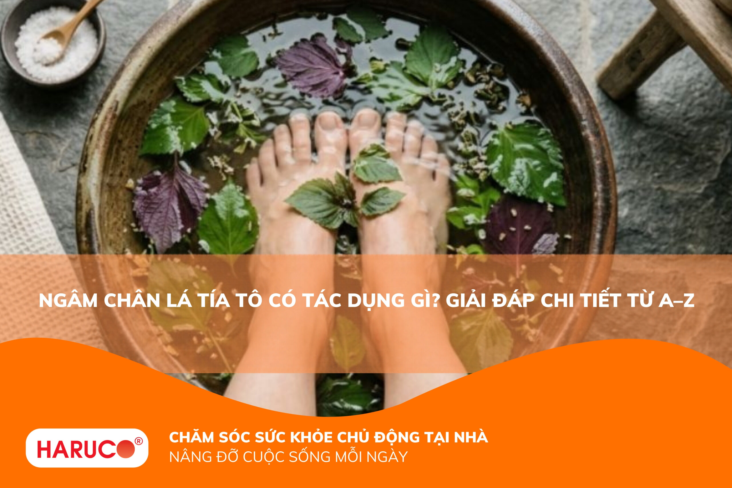 Ngâm chân lá tía tô có tác dụng gì? Bí quyết thư giãn, ngủ ngon ngay tại nhà