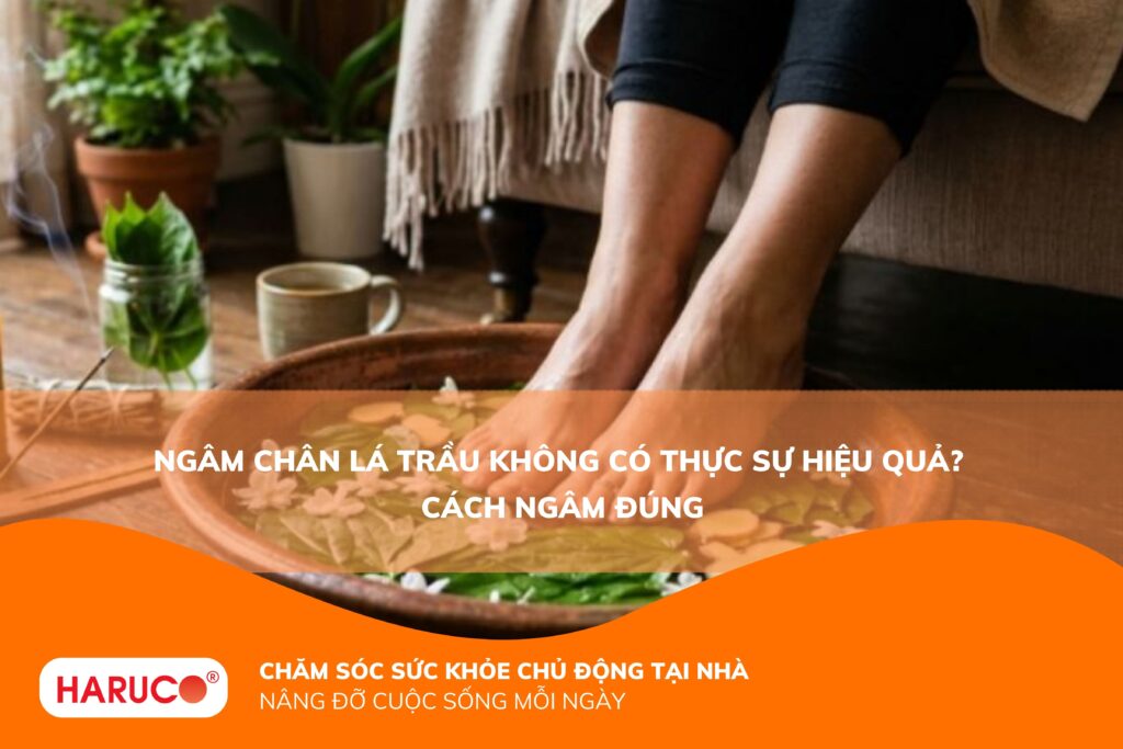 Ngâm chân lá trầu không có tác dụng gì? Hướng dẫn cách ngâm đúng và lưu ý quan trọng