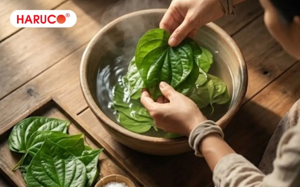 Rửa sạch từng lá trầu không để loại bỏ hết bụi bẩn trước khi ngâm chân