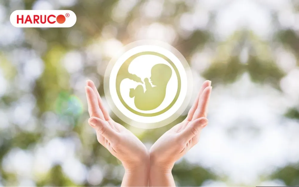 Chuyển phôi là bước cuối cùng và cũng là bước quan trọng nhất trong một chu kỳ IVF