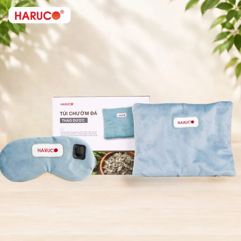 Quà tặng doanh nghiệp Hải Dương Haruco