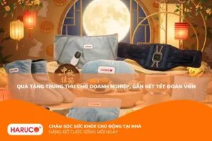 Quà tặng trung thu cho doanh nghiệp, gắn kết tết đoàn viên