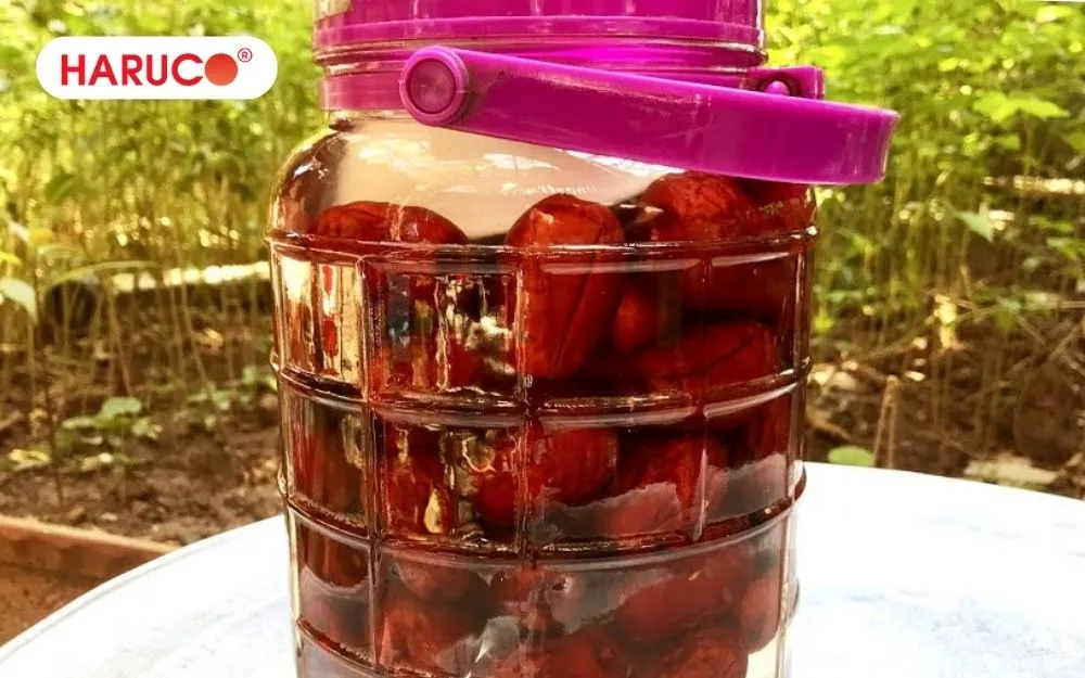 Mỗi ngày chỉ nên uống từ 1 đến 2 chén nhỏ rượu ngâm táo đỏ