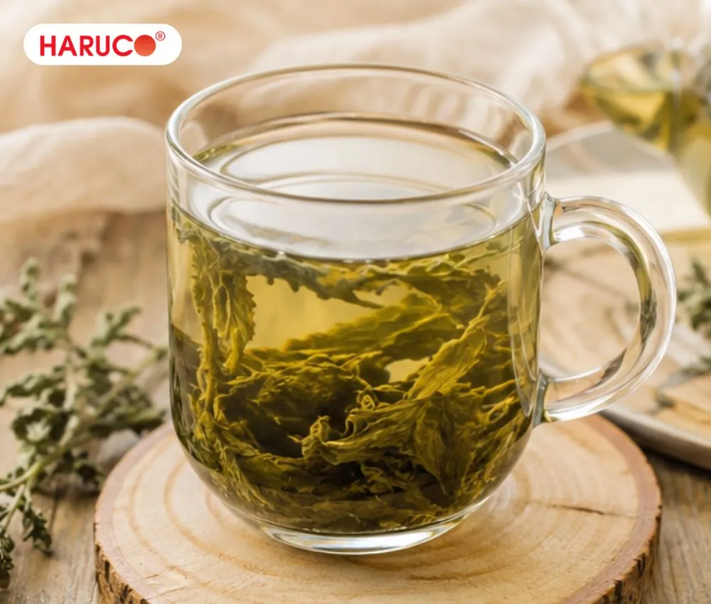 Uống nước ngải cứu khô đúng liều lượng hỗ trợ làm giảm đau nhức xương khớp