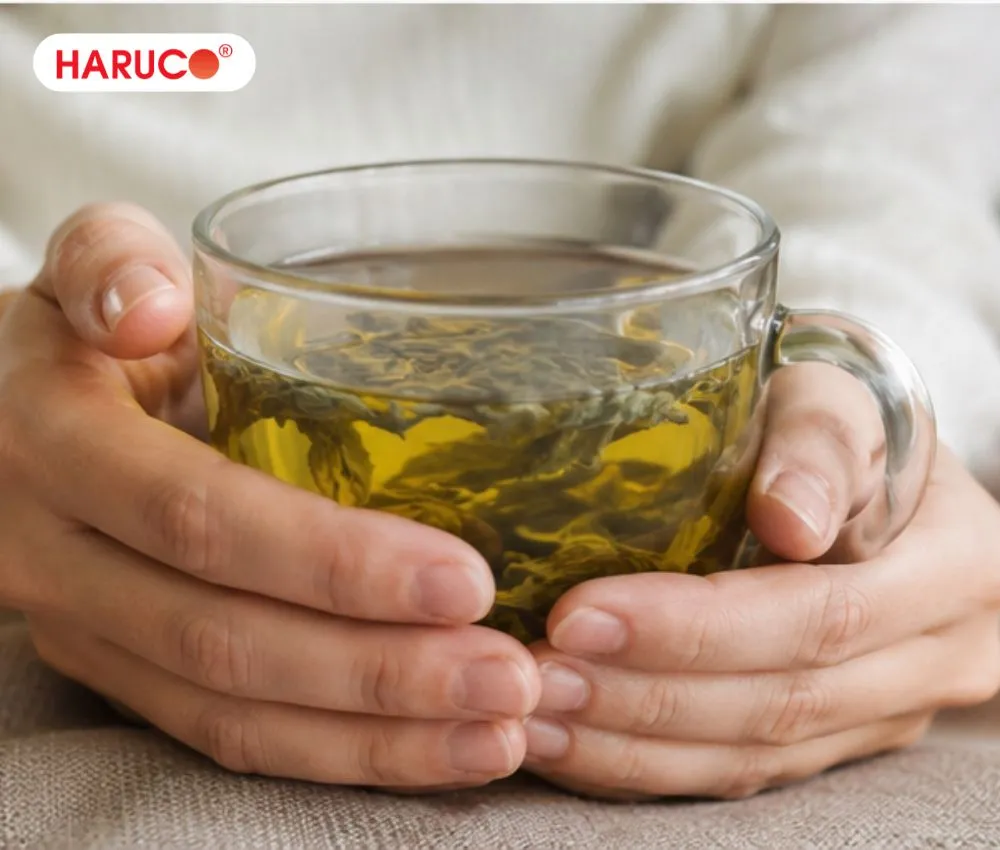 Người đang sử dụng các loại thuốc điều trị không nên uống nước lá ngải cứu khô