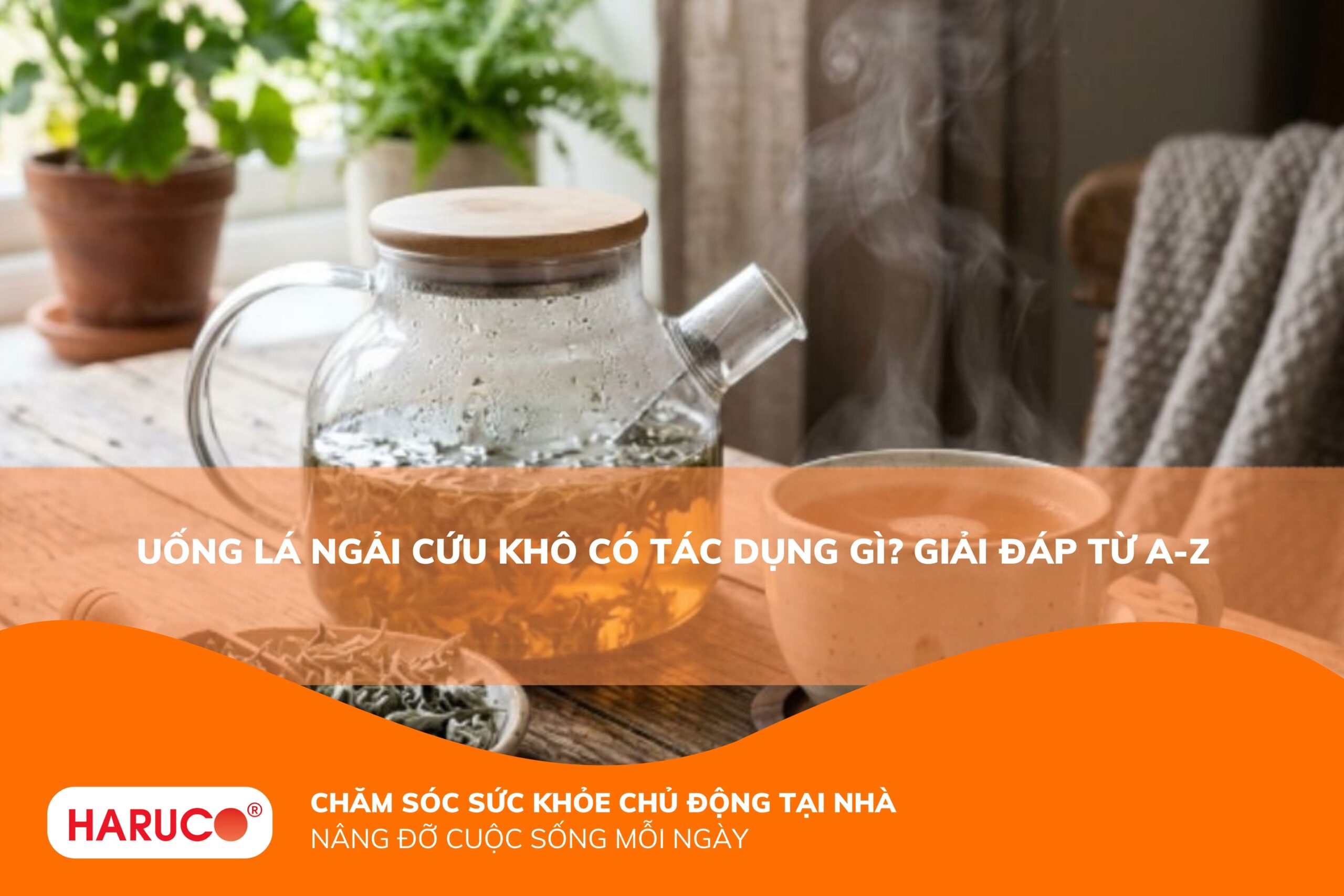 Uống lá ngải cứu khô có tác dụng gì? 9 lợi ích bất ngờ và cách dùng phát huy hiệu quả