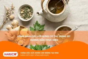 Uống ngải cứu với gừng có tác dụng gì? Hướng dẫn cách uống tránh rủi ro