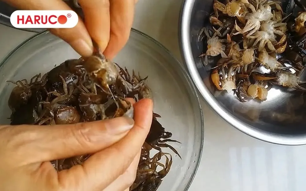 Uống nước cua đồng sống có nguy cơ nhiễm ký sinh trùng, ảnh hưởng đến tính mạng