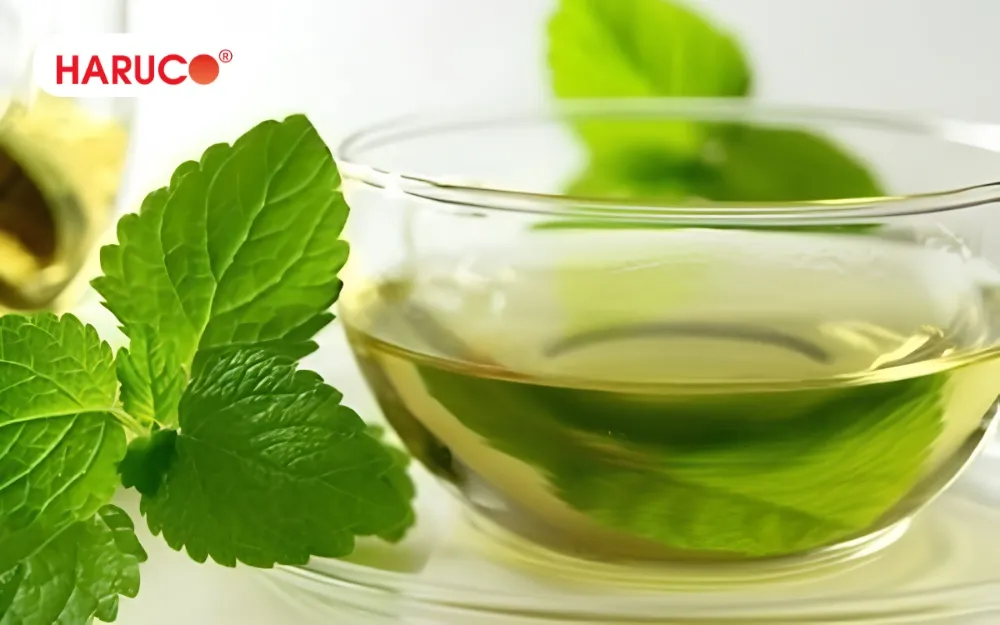 Người đang bị cảm mạo, ho, viêm họng do nhiễm lạnh nên uống nước kinh giới