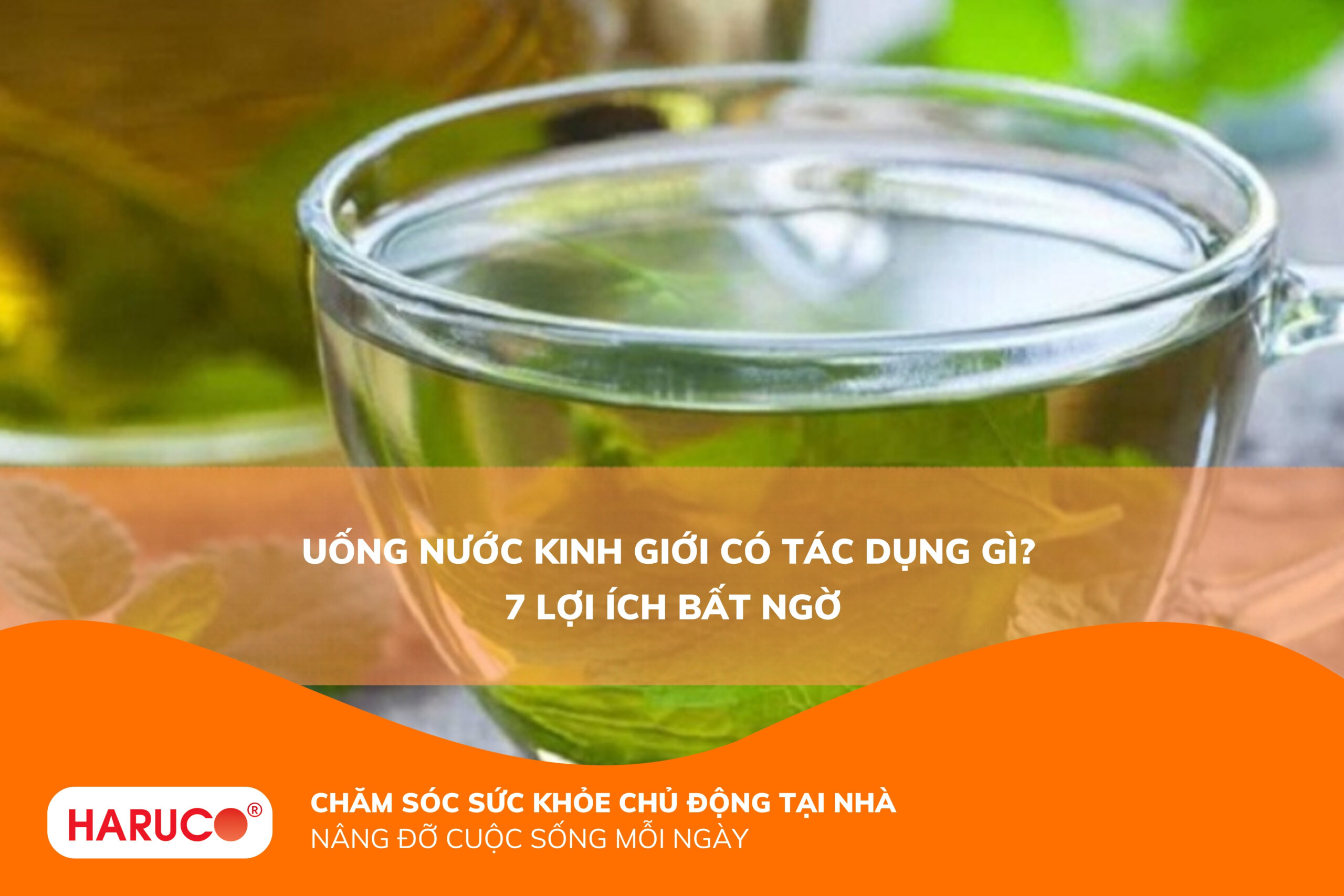 Uống nước kinh giới có tác dụng gì? 7 tác dụng bất ngờ ít ai biết