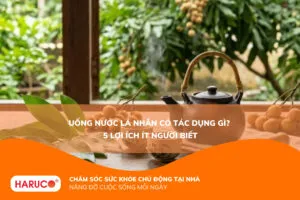 Uống nước lá nhãn có tác dụng gì? Mách bạn cách nấu nước thanh nhiệt, ngủ ngon chuẩn vị