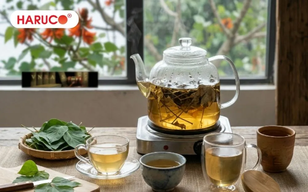 Thời điểm vàng để uống nước lá vông là trước khi đi ngủ khoảng 1 - 2 tiếng
