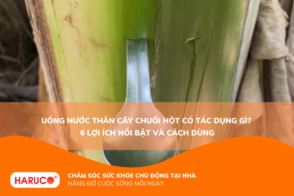 Uống nước thân cây chuối hột có tác dụng gì? 6 Lợi ích nổi bật và cách dùng