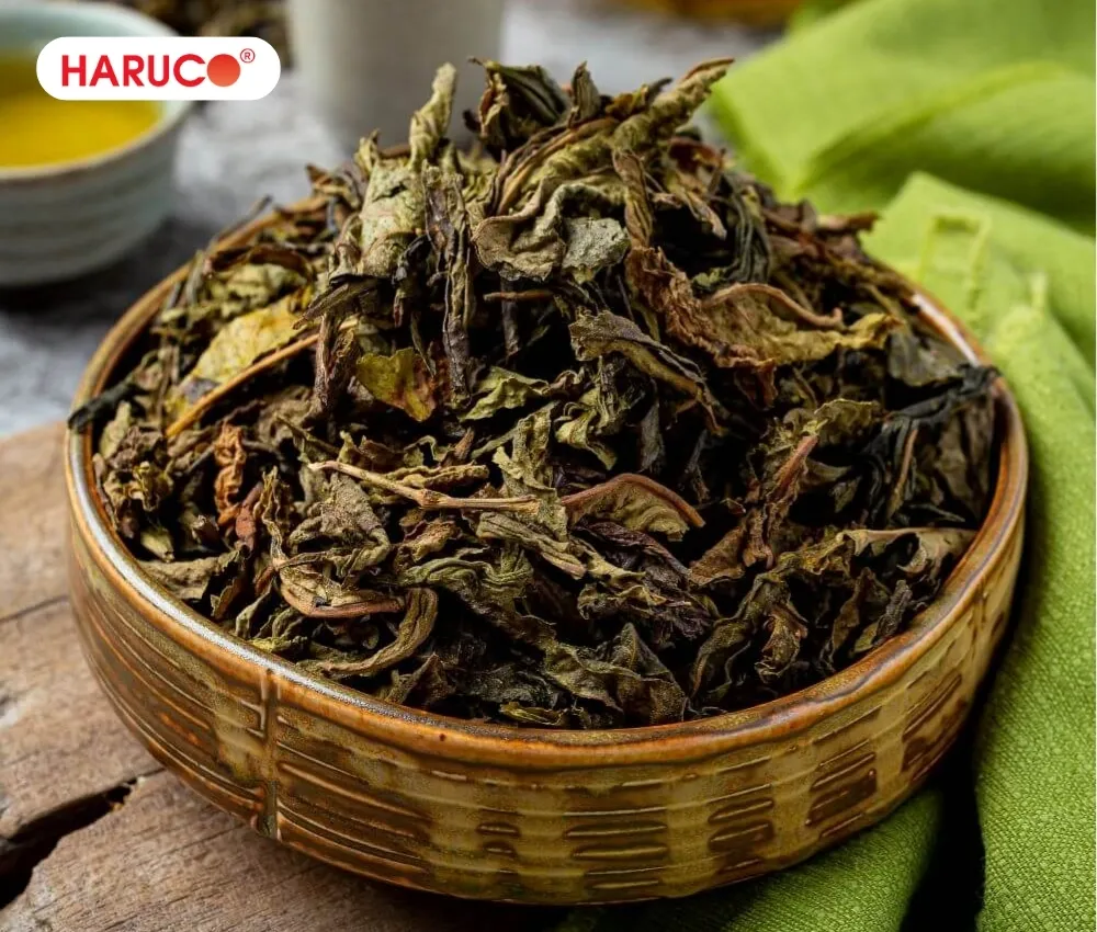 Không uống nước lá vối khi bụng đói