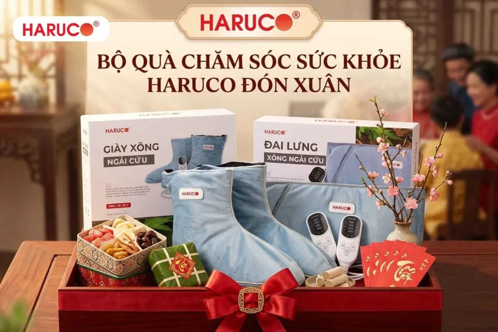 15 quà tết doanh nghiệp tại Haruco