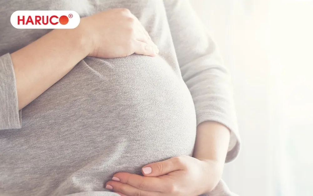Phụ nữ có thai không nên sử dụng tầm gửi trên cây khế