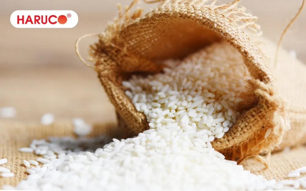 Ăn gạo sống làm tăng nguy cơ nhiễm vi khuẩn hoặc tạp chất vào cơ thể