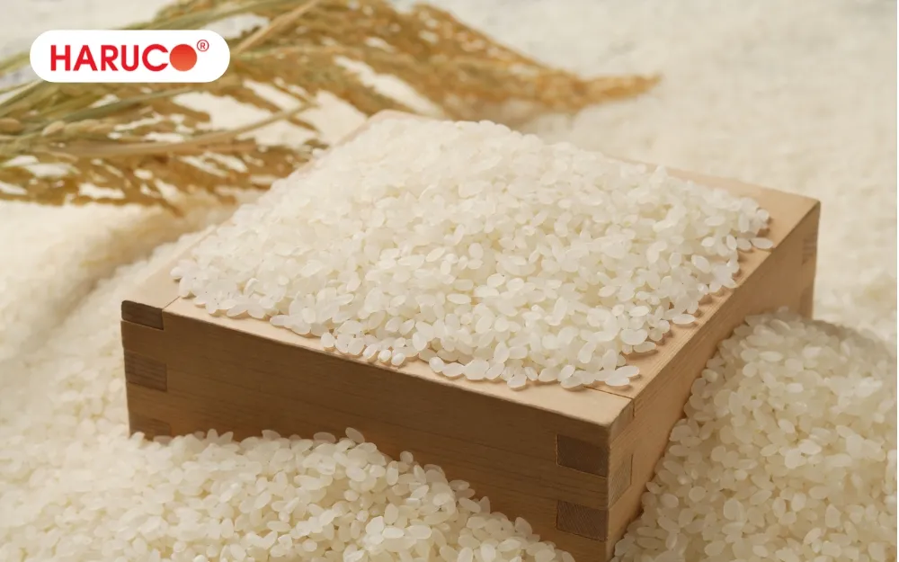 Chọn gạo sạch, có nguồn gốc rõ ràng và nấu chín trước khi ăn